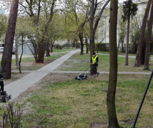 koszą trawę, której nie ma