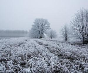 To będzie najzimniejsza Wigilia od lat! IMGW ostrzega przed silnym mrozem