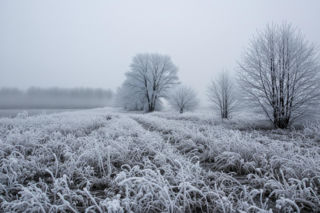Mróz ściska Żary 03.12.2025! Czy zima pokaże swoje lodowate oblicze?