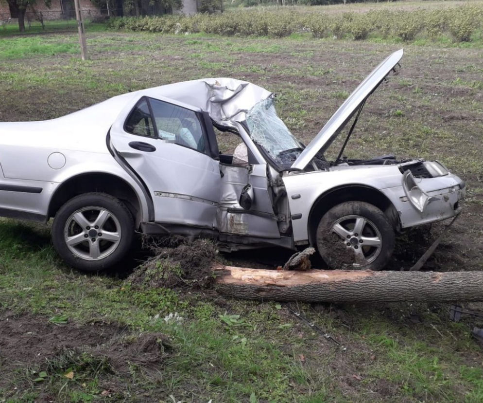 Samochód ZŁOŻYŁ SIĘ JAK HARMONIJKA. Auto zatrzymało się na drzewie