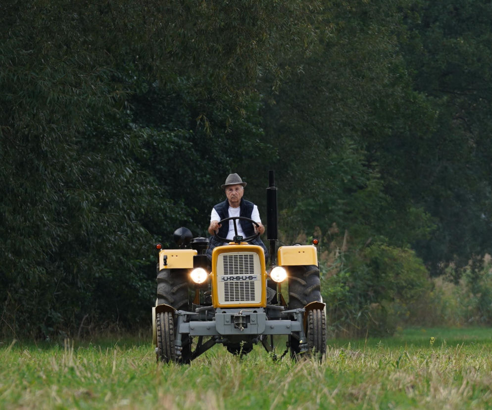 3. odcinek Sanatorium miłości