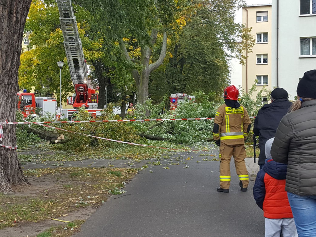 Strażacy (i piły) na pełnych obrotach