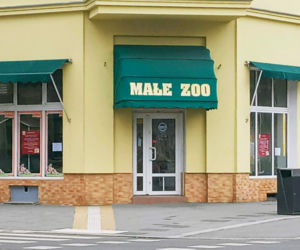 Legendarne Małe ZOO znika z centrum Szczecina