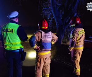 Chciał ominąć sarnę, wjechał prosto do stawu! Auto odpłynęło 15 metrów od brzegu