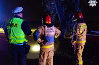 Chciał ominąć sarnę, wjechał prosto do stawu! Auto odpłynęło 15 metrów od brzegu