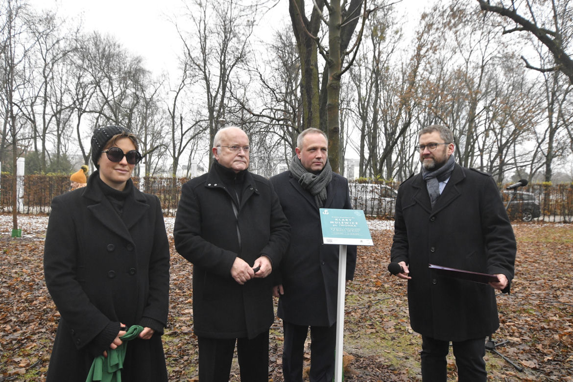 Powstańcy zapuścili korzenie. 20 drzew dla bohaterów w parku na Woli