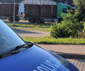 Zabrane prawo jazdy i 14tys kary w 24h. Pijany kierowca ciężarówki z drzewami ekspresowo osądzony