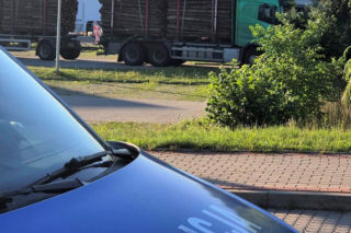 Zabrane prawo jazdy i 14tys kary w 24h. Pijany kierowca ciężarówki z drzewami ekspresowo osądzony