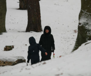 Marta Kaczyńska z synem i psami na sankach w lesie