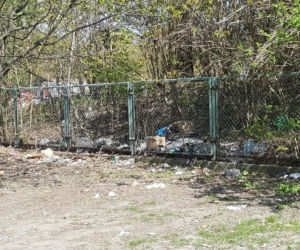 Bałagan w Parku Moczydło po dniu targowym na bazarze Olimpia