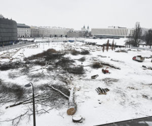 Rzeź drzew w parku w centrum Warszawy. Przygnębiający widok przed odbudową Pałacu Saskiego