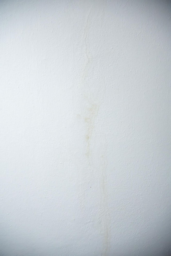 Śmieci, smród i strach na Gocławiu. Sąsiad zbieracz terroryzuje mieszkańców. "On potrzebuje pomocy"