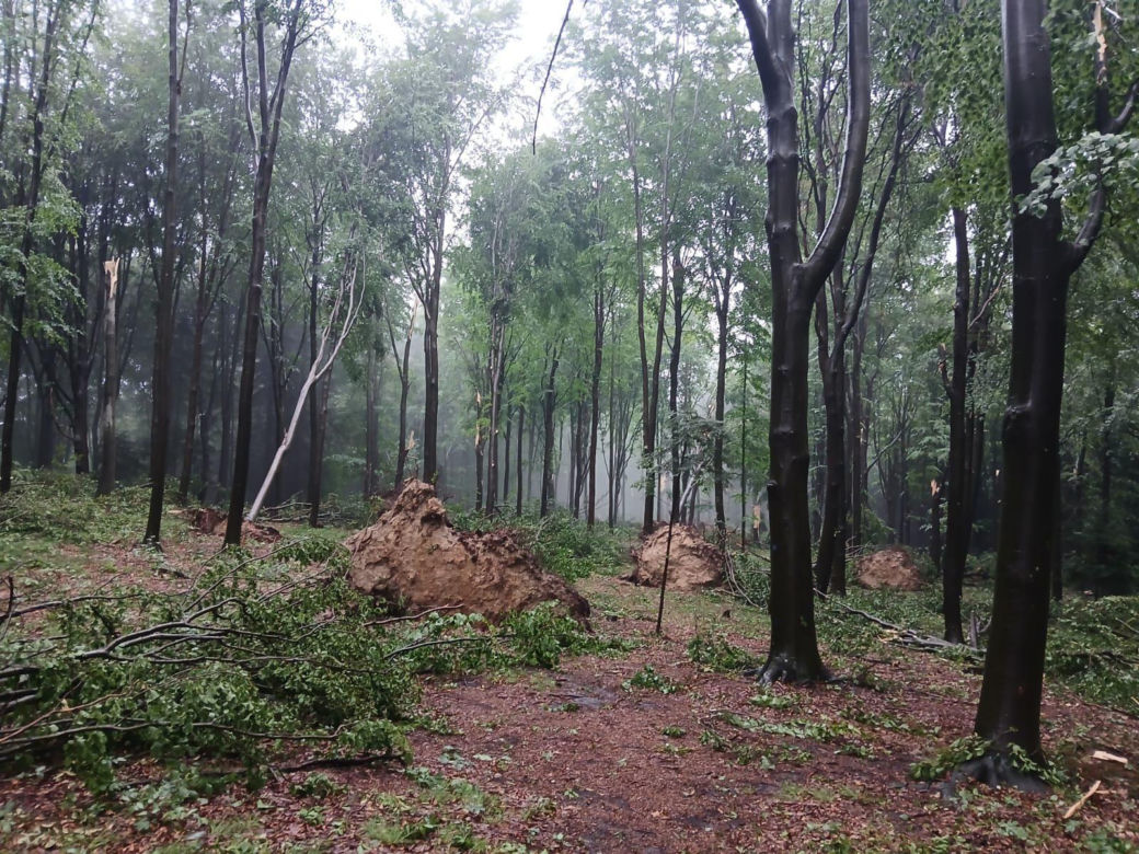 Nawałnice w Małopolsce. Setki interwencji straży pożarnej