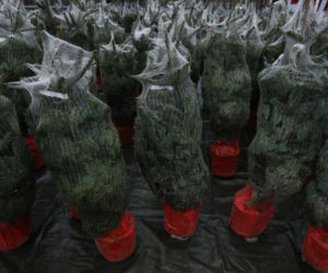 Akcja w Białymstoku (20.12.2025)