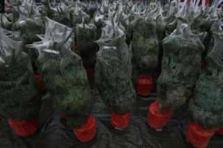 Akcja w Białymstoku (20.12.2025)