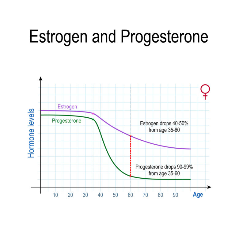 6. Estrogen i progesteron