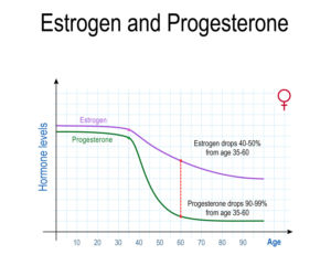 estr i prog