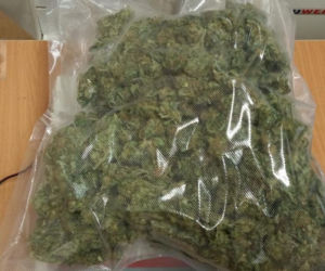 Policjanci zabezpieczyli ponad kilogram marihuany