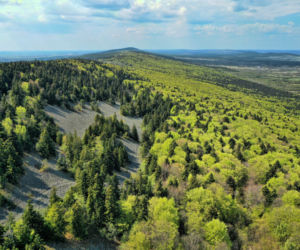 Szlaki turystyczne ŚPN 