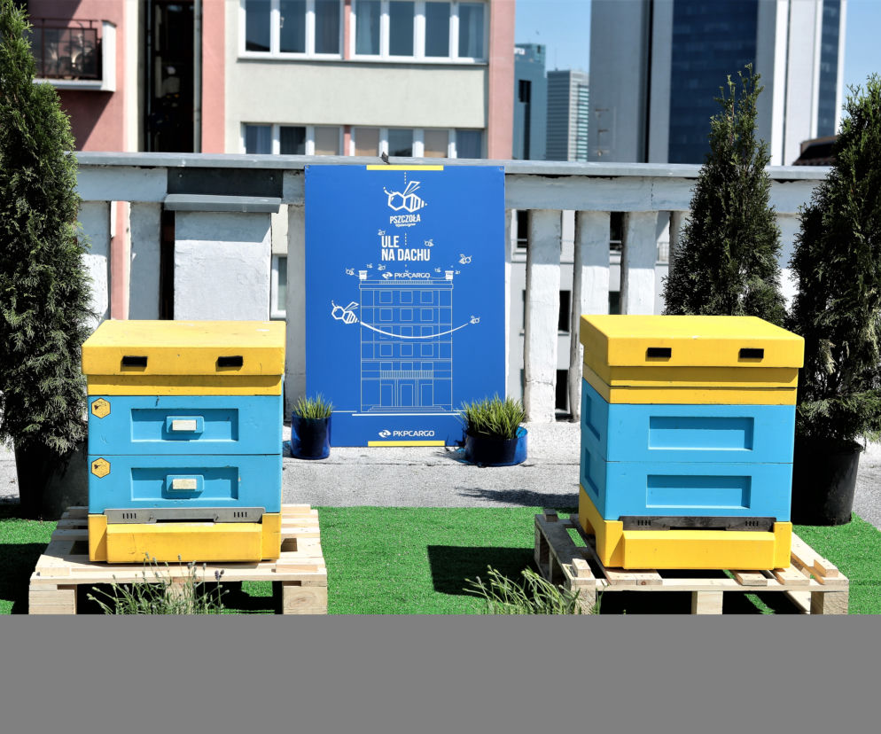PKP Cargo