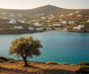 Model rewitalizacji demograficznej Andikitiry: Analiza pakietu zachęt finansowych i rzeczowych