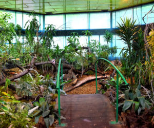Jak wyglądała motylarnia w ZOO w Poznaniu