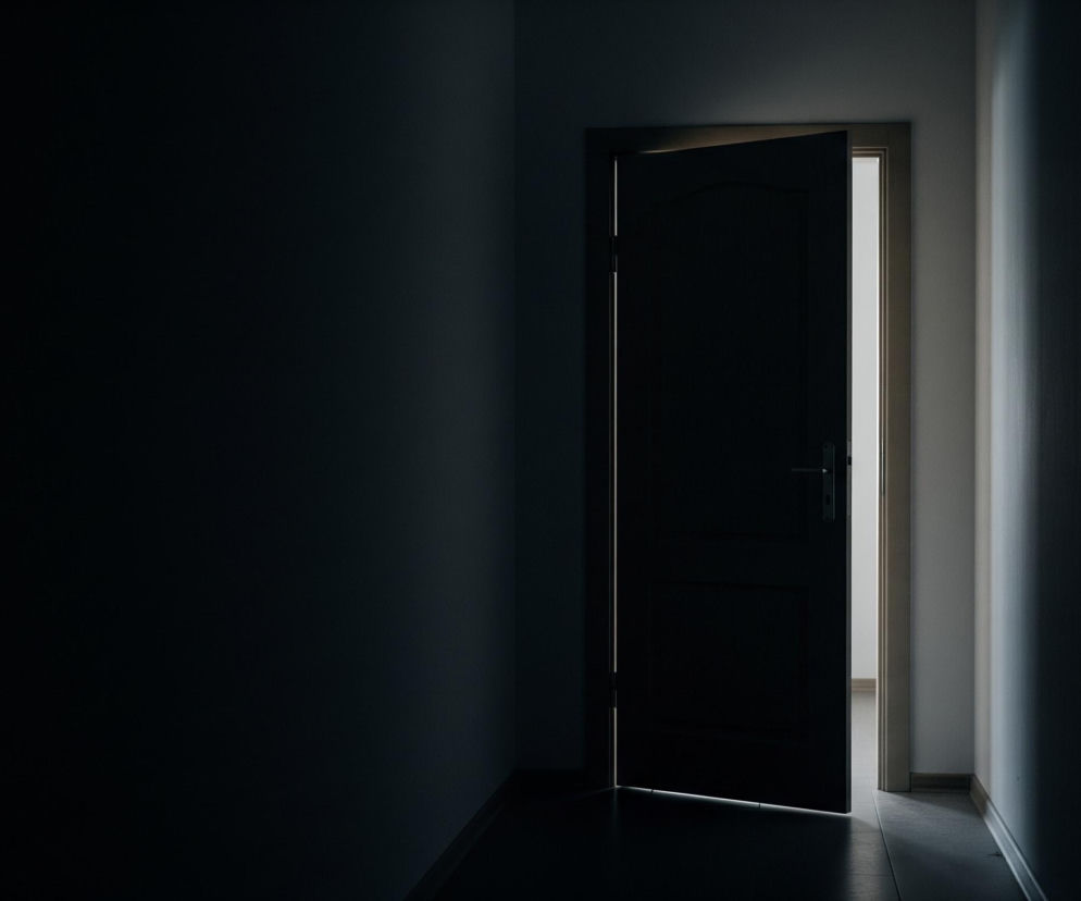 W prawym, środkowym kadrze widoczne są lekko uchylone, ciemne drzwi z jasną futryną, wiodące do jasno oświetlonego pomieszczenia. Przez szczelinę między drzwiami a futryną, a także od spodu drzwi, przedostaje się intensywne białe światło, tworząc wyraźny kontrast z ciemnym korytarzem, w którym znajduje się obserwator. Lewa część obrazu jest pogrążona w niemal całkowitej ciemności, ukazując jedynie zarys ściany. Podłoga w korytarzu również jest ciemna, z delikatnym odbiciem światła przy progu drzwi.