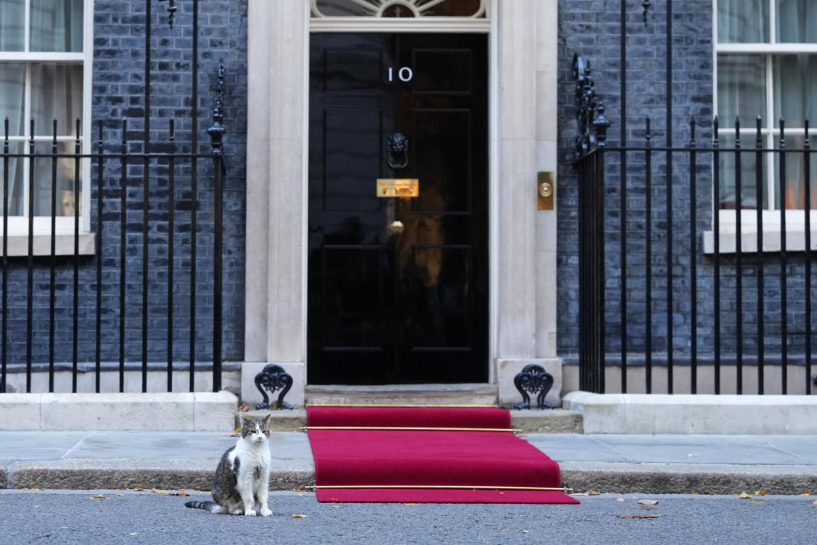 Oto Larry. Chief Mouser to the Gabinet Office