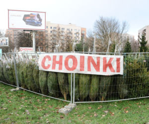 Dokąd po choinki w stolicy? Sprawdziliśmy gdzie jest najtaniej
