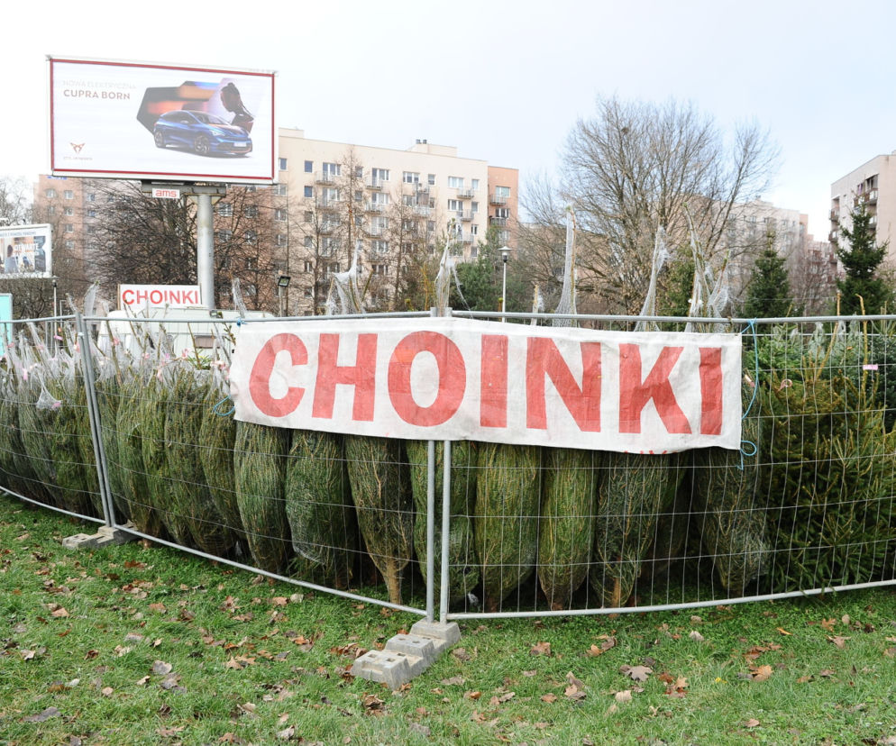 Dokąd po choinki w stolicy? Sprawdziliśmy gdzie jest najtaniej