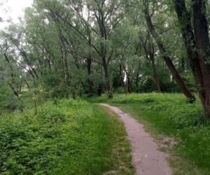 Park Rzeczny Wilga