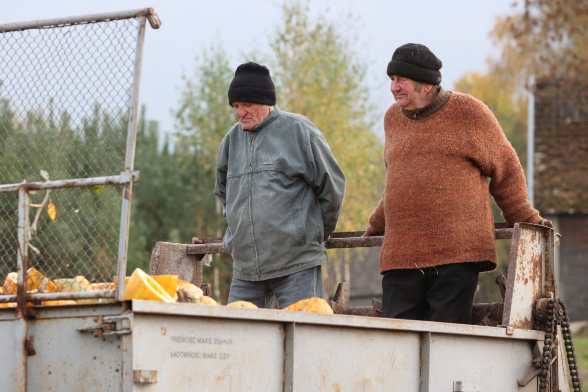 Rolnicy. Podlasie. Gienek, Andrzej i Sławek w Deniskach. Odbierają dynie