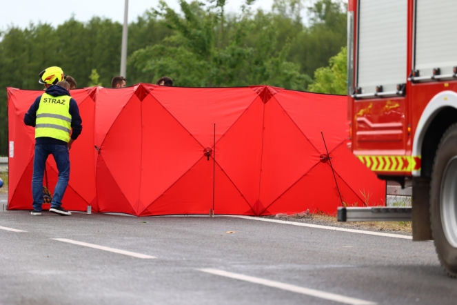 Bus rozbił się na drzewie. Jedna osoba nie żyje, druga walczy o życie. „Kabina była zmiażdżona”