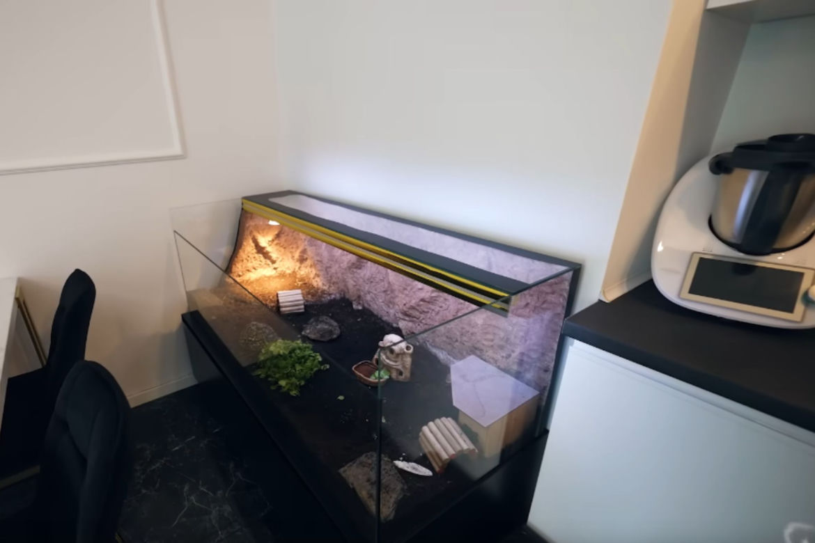 Nowe mieszkanie Mini Majka i Pauliny