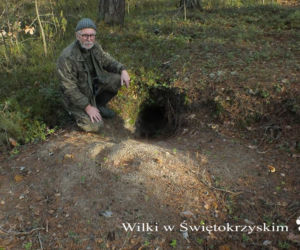 Jacek Major i wilki