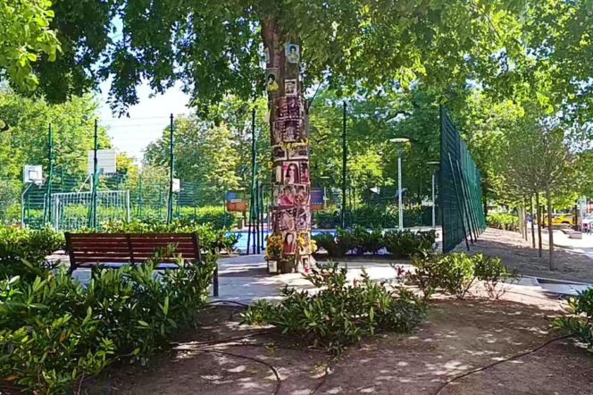 Drzewo pamięci Michaela Jacksona w Budapeszcie