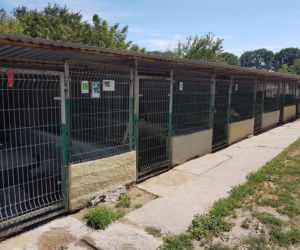Gorzowskie Azorki zamknięte na dwa tygodnie