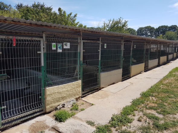 Gorzowskie Azorki zamknięte na dwa tygodnie