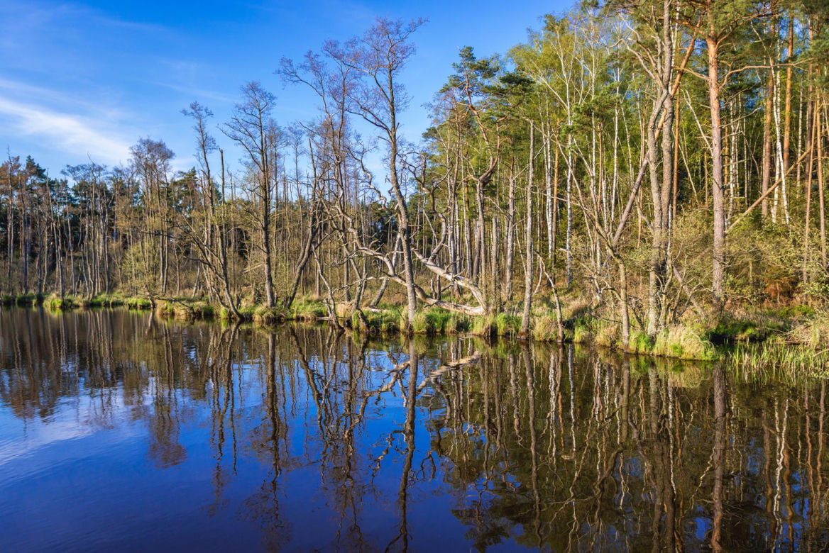 Słowiński Park Narodowy