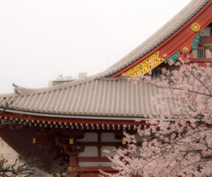 Japonia