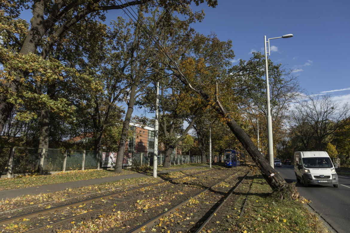 Wrocław. Uszkodzenie trakcji tramwajowej