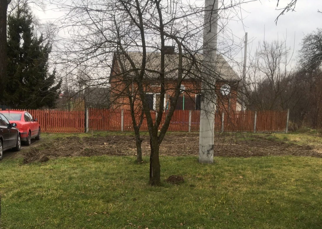 Zasztyletowała męża przy kolacji