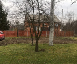 Zasztyletowała męża przy kolacji