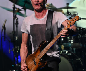 Sting bez miodu nie wystąpi