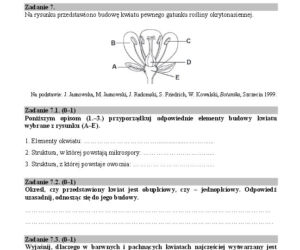 Matura biologia7