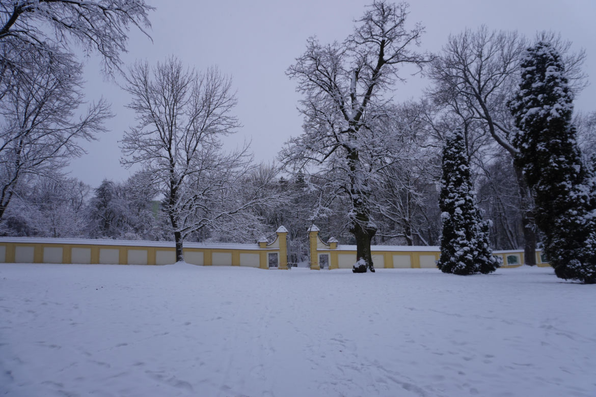 Białystok pod śniegiem. Tak prezentuje się zasypana stolica Podlasia