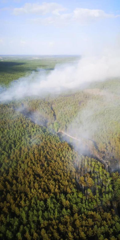 Ogromny pożar pod Grójcem! Spłonęło 80 hektarów lasu