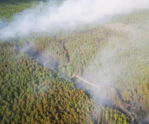 Ogromny pożar pod Grójcem! Spłonęło 80 hektarów lasu
