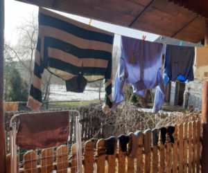 Mąż zastrzelił żonę
