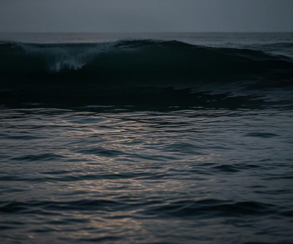 Głębia ciemnego, wzburzonego morza dominuje obraz, z linią horyzontu ledwie widoczną na górze. Pośrodku kadru, duża, ciemna fala unosi się, jej szczyt przełamuje się w białą pianę, kontrastującą z otaczającą ją tonacją. Powierzchnia wody w dolnej części zdjęcia delikatnie faluje, odbijając blade, złote światło, które tworzy refleksy na ciemnoniebieskich i szarych odcieniach fal. Całość kompozycji utrzymana jest w stonowanej, chłodnej palecie barw, oddającej wrażenie spokoju i potęgi natury.